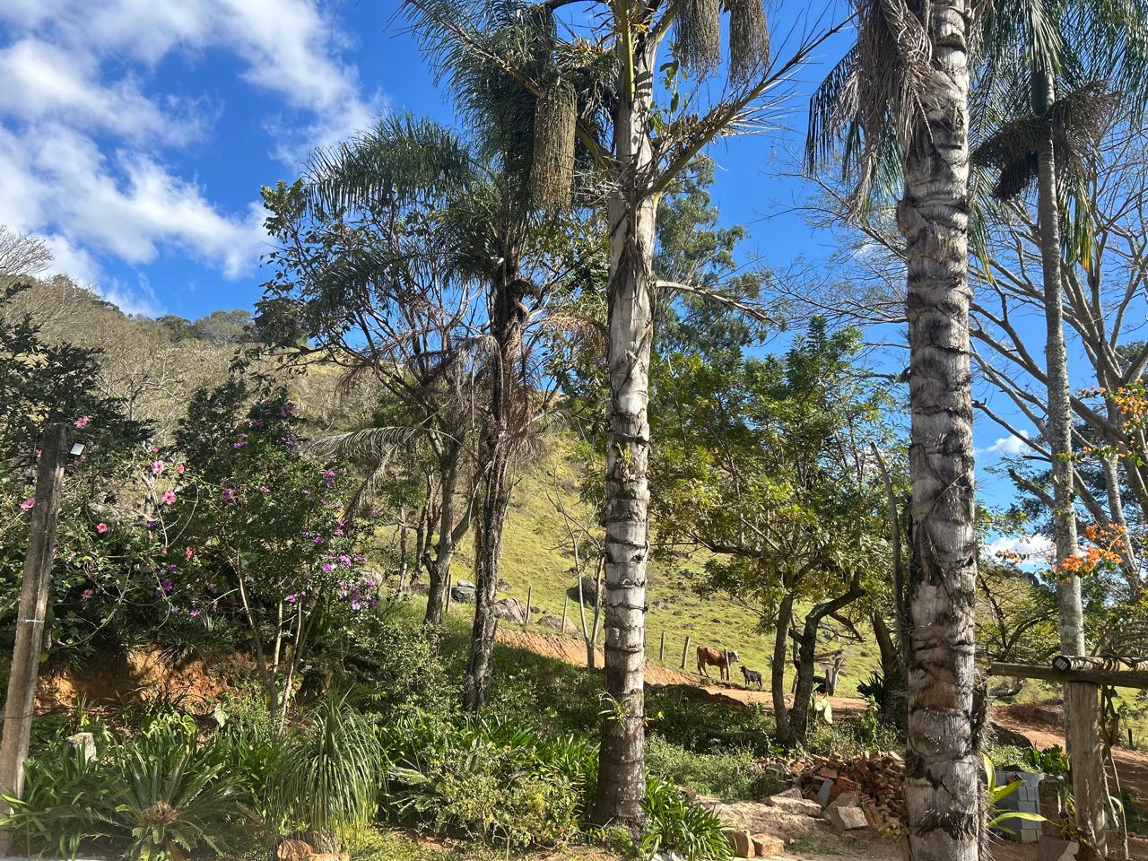 Montanhas e natureza